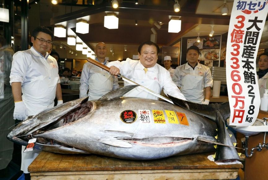 Maior hon-maguro (bluefin) vendido no Japão é de 2019