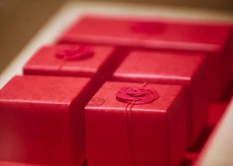Embalagem elegante e especial sem custos da shiseido