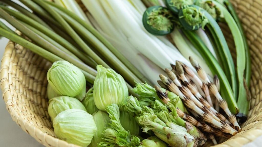 Sansai: conheça os vegetais e legumes da montanha