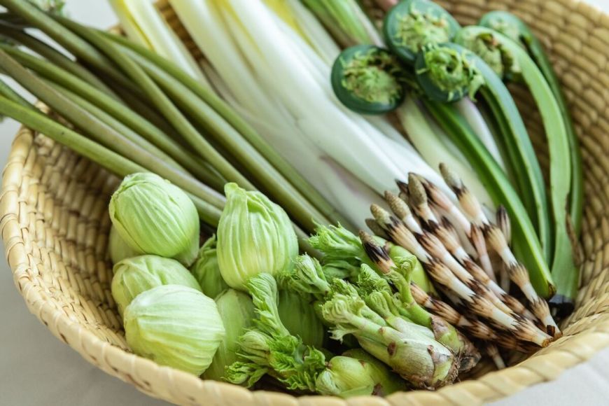 Sansai: conheça os vegetais e legumes da montanha