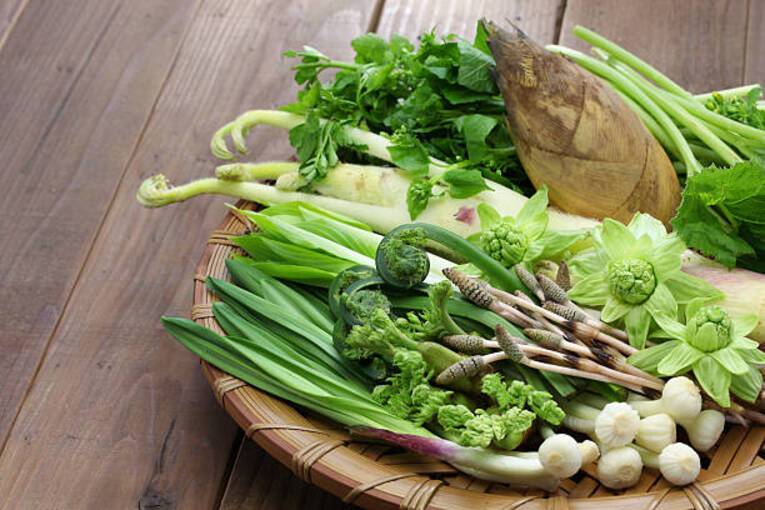 Muitos Sansai não são reconhecidos pelo público em geral, aglo semelhante no Brasil com as PANCS (Plantas Alimentícias Não Convencionais)