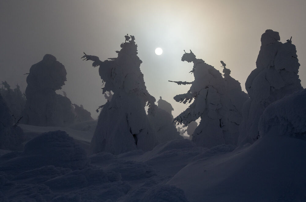 Monstros da neve do Japão