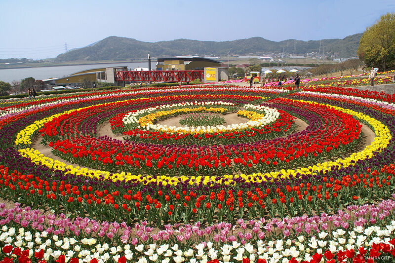 Sante Parc Tahara 