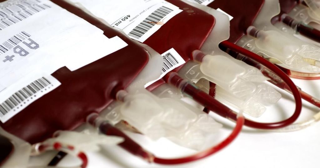 Sangue artificial universal criado no Japão