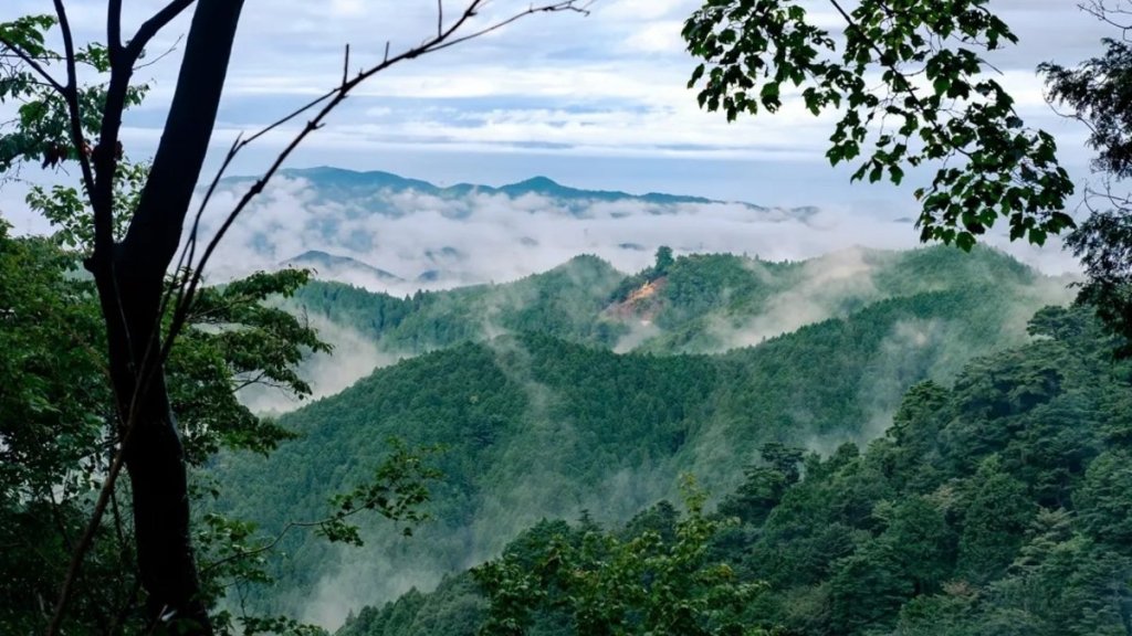Conheça a histórica peregrinação budista no Monte Koyasan
