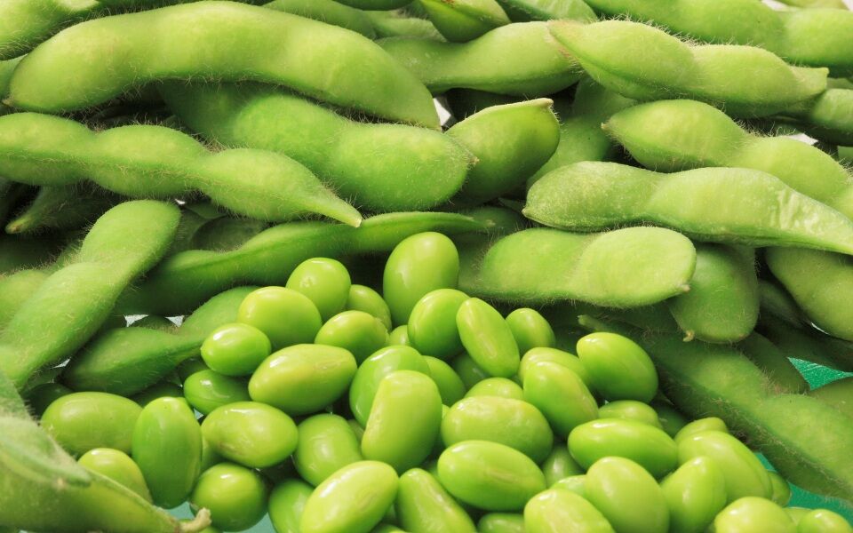 Edamame no Japão