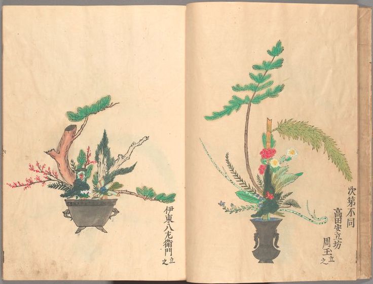 Arranjo floral Ikebana no estilo tradicional Rikka