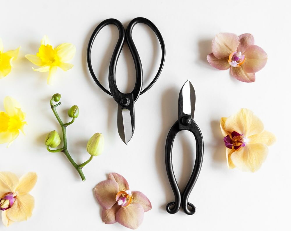 Tesoura japonesa para podar flores e galhos para montar arranjos 