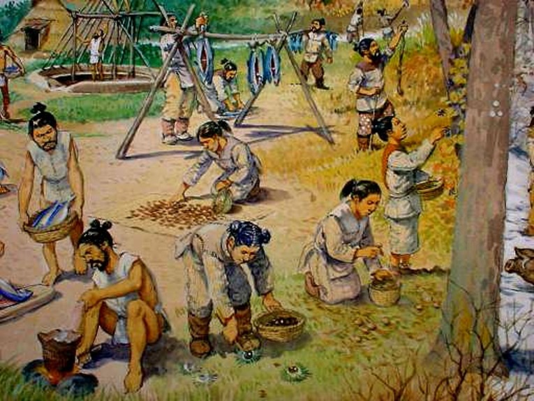 As pesquisas arqueológicas revelaram algo extraordinário: os habitantes de Sannai Murayama cultivavam feijão, abobrinha, bardana (gobō), castanhas e nozes
