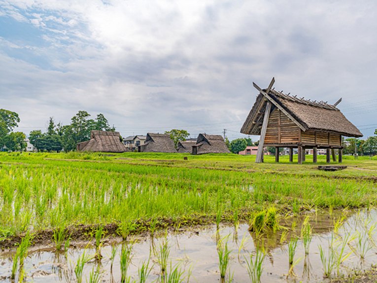 Imaginava-se que o cultivo de arroz que começou com o período Yayoi começou por volta de 300 a.C, mas evidências arqueológicas apontaram que o plantio começou 100 anos antes